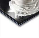 White Wolf Black Wolf By ISHISH Acrylic print