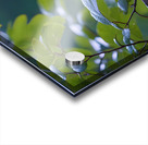 A  Amethyst Glass Eagle By ISHISH Acrylic print