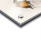 Diphyllodes chrysoptera 1873 Acrylic print