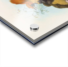 Xanthomelus aureus 1873 Acrylic print