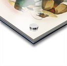 Diphyllodes speciosa 1873 Acrylic print