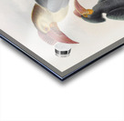 Cranorrhinus leucocephalus 1882 Acrylic print