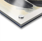 Bucorvus abyssinicus 1882 Acrylic print