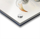 Tockus flavirostris 1882 Acrylic print