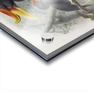 Buceros rhinoceros 1882 Acrylic print