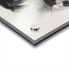 Bycanistes albotibialis 1882 Acrylic print