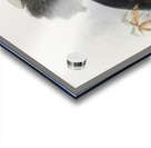 Sphagolobus atratus 1882 Acrylic print