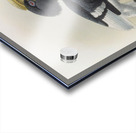 Bycanistes cylindricus 1882 Acrylic print