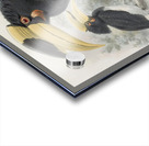 Anthracoceros coronatus 1882 Acrylic print