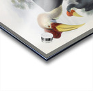 Cranorrhinus cassidix 1882 Acrylic print