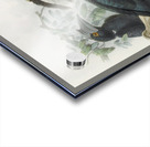 Anthracoceros malayanus 1882 Acrylic print