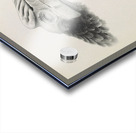 Pholidophalus casuarinus 1882 Acrylic print