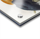 Rhytidoceros plicatus 1882 Acrylic print