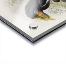 Pholidophalus sharpii 1882 Acrylic print