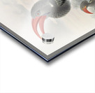 Tockus hemprichii 1882 Acrylic print