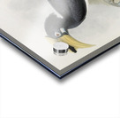 Anthracoceros convexus 1882 Acrylic print