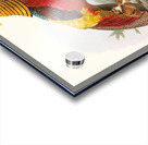 Thaumalea obscura. 1872 Acrylic print