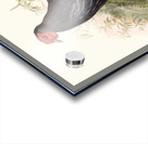 Euplocamus Pyronotus 1872 Acrylic print