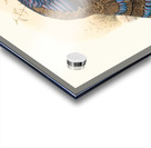 Polyplectron emphanum. 1872 Acrylic print