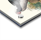 Euplocomus albo-cristatus. 1872 Acrylic print