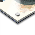 Numida Verreauxii. 1872 Acrylic print