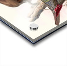 Ithaginis Geoffroyi. 1872 Acrylic print