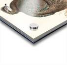 Polyplectron thibetanum. 1872 Acrylic print