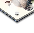 Crossoptilon mantchuricum. 1872 Acrylic print