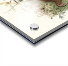 Polyplectron chalcurum. 1872 Acrylic print