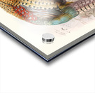 Phasianus Deccollatus 1872 Acrylic print