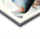 Lophophorus Lhuysii. 1872 Acrylic print