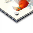 Ceriornis Blythii. 1872 Acrylic print