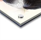 Euplocamus Horsefieldii 1872 Acrylic print