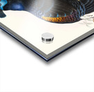 Euplocomus ignitus. 1872 Acrylic print