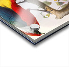 Hybrid Pheasant. 1872 Acrylic print