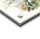 Phasianus Shawii. 1872 Acrylic print