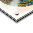 Pavo cristatus. 1872 Acrylic print