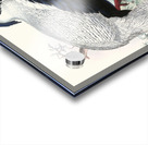 Euplocomus nycthemerus. 1872 Acrylic print