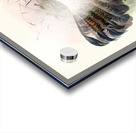 Crossoptilon Drouynii. 1872 Acrylic print