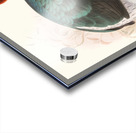 Lophophorus Sclateri. 1872 Acrylic print