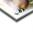 Phasianus Reevesii. 1872 Acrylic print