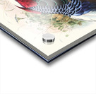 Euplocomus Swinhoei. 1872 Acrylic print