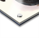 Numida Pucherani. 1872 Acrylic print