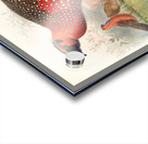 Ceriornis satyra. 1872 Acrylic print