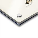 Aegithalus caudatus Long-tailed tit Acrylic print