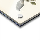 Aegithalus caudatus Long-tailed tit Acrylic print