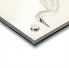 Sula bassana Acrylic print