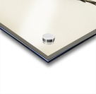 Twite Acanthis flavirostris Acrylic print