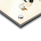 Somateria spectabilis Acrylic print