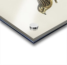 Yellowhammer Emberiza citrinella Acrylic print